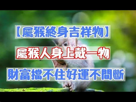 屬猴適合方位|【屬猴適合的方位】屬猴風水大公開！揭秘最佳方位與樓層，助你。